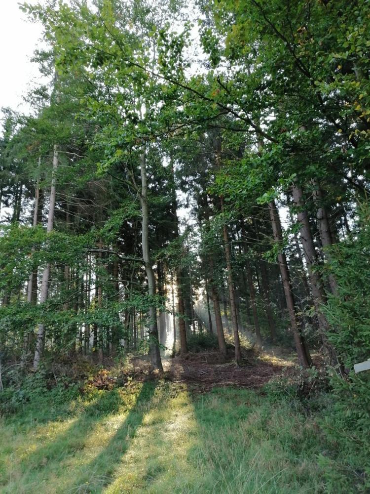 Landhotel Haagerhof Aigen im Mühlkreis Екстериор снимка