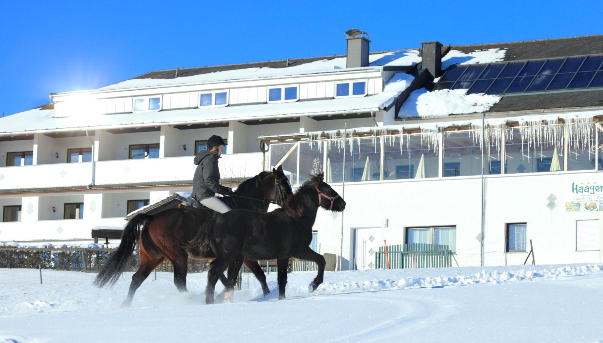 Landhotel Haagerhof Aigen im Mühlkreis Екстериор снимка