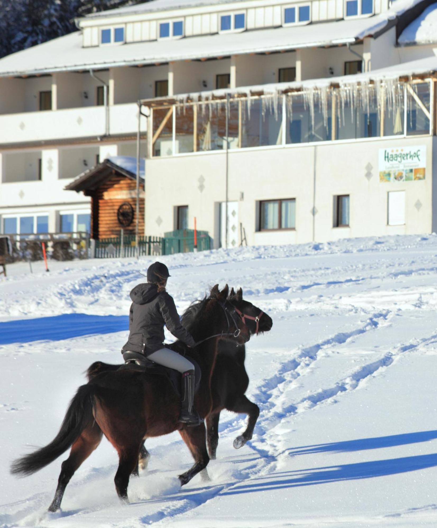 Landhotel Haagerhof Aigen im Mühlkreis Екстериор снимка